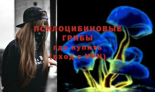 прущий лед Бутурлиновка