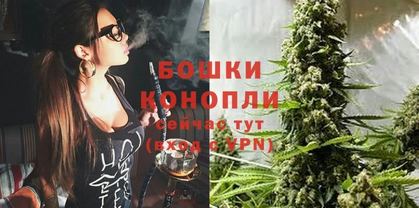 МДПВ Валдай